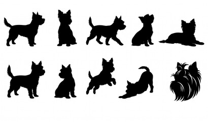 Fototapeta premium Yorkshire Terrier Dog Silhouette Collection Black Vector Illustration