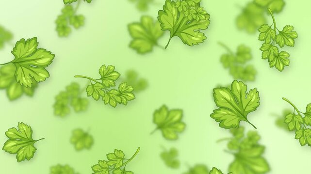 Animated Fresh Green Parsley Leaves Falling on Light Green Background