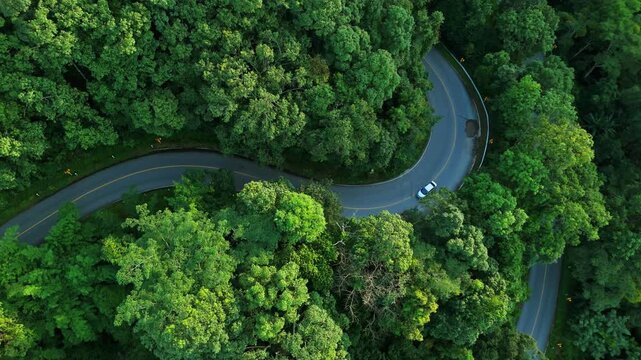 Aerial view of electric cars driving through a green forest, highlighting eco-friendly, zero-emission transportation and sustainable travel.