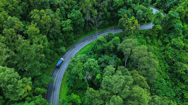 Aerial view of electric cars driving through a green forest, highlighting eco-friendly, zero-emission transportation and sustainable travel.