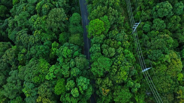Aerial view of electric cars driving through a green forest, highlighting eco-friendly, zero-emission transportation and sustainable travel.