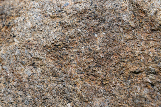 Biotite Gneiss (PRgn), metamorphic rock. Imjingak, Paju is a city in Gyeonggi Province, South Korea geology. Korean Demilitarized Zone.