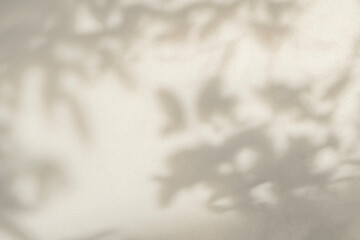 Obraz premium Light and shadow beige abstract blur background. Natural leaves shadows and sunshine diagonal refraction on white wall texture. Shadow overlay effect foliage mockup banner graphic layout