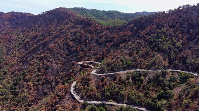 Winding mountain road cutting through fire-damaged hillsides with scorched reddish-brown trees and patches of surviving green forest under a clear sky