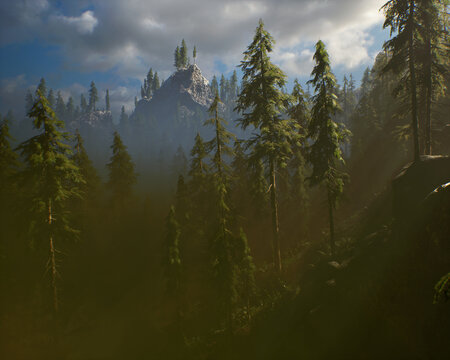 Fir trees in mountainous landscape in the mist. 3D rendered still image.