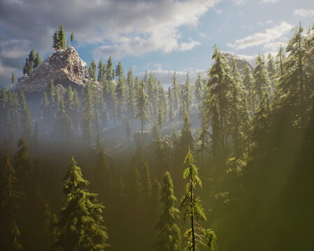 Fir trees in mountainous landscape in the mist. 3D rendered still image.