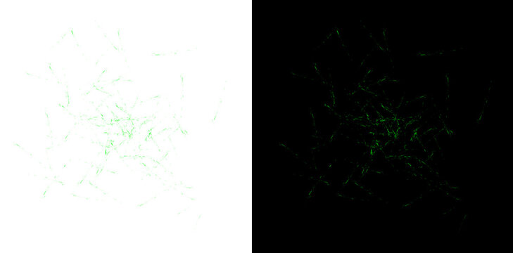 Abstract green light dust particles on black background creating a shimmering festive overlay texture for design element.