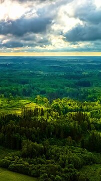 Vertical aerial hyperlapse moves forward beneath heavy storm clouds toward a glowing golden horizon above an unbroken green forest