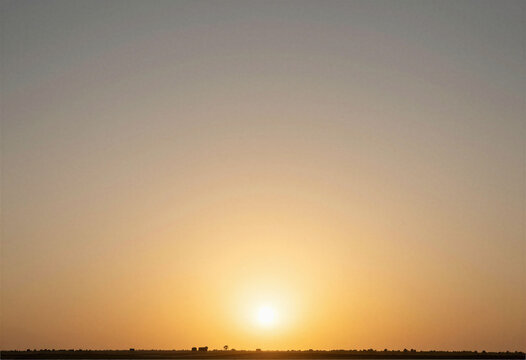 A bright golden sunset with a low horizon, warm light, simplicity, copy space sky