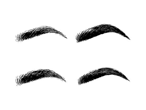 Hand Drawn Eyebrow Shapes Sketch Set