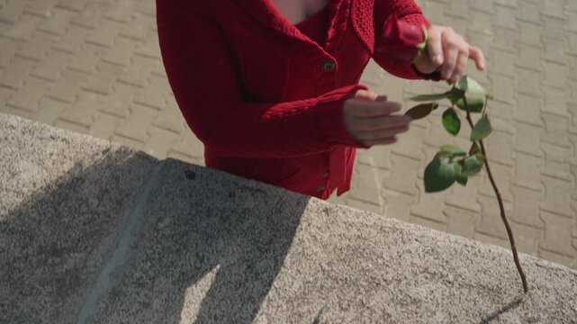 Woman in red sweater picks up and holds single rose outdoors. scene features close up views of flower her hands reaching for it on stone steps or pavement then cradling its stem with leaves