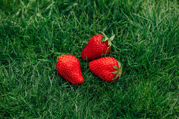 Three juicy ripe strawberries on green grass, close-up top view, spring freshness © Masson