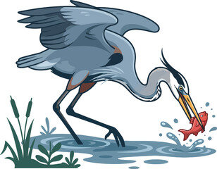 Fototapeta premium A majestic blue heron catching a fish in the water.