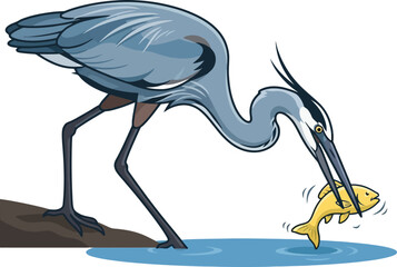 Fototapeta premium A blue heron catching a small yellow fish with its sharp beak.