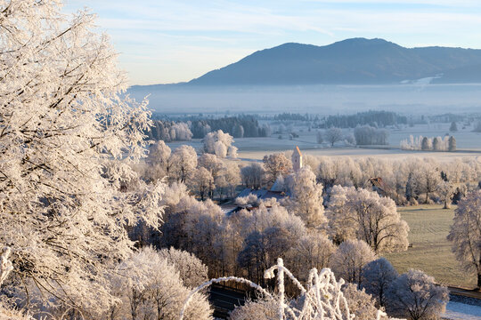 Germany, Bavaria, Grossweil, winter morning with hoarfrost
