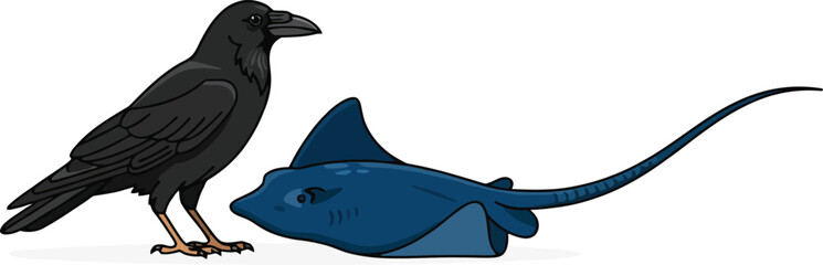 Obraz premium A black raven standing next to a blue stingray on a white background.