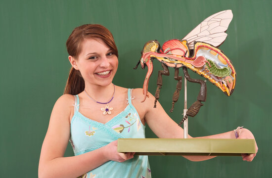 Germany, Emmering, Gir (12-13) holding fly model, smiling, portrait