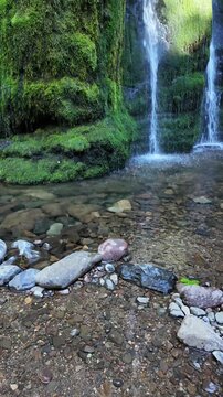 4K smooth stabilized footage of beautiful Spirit Falls in Oregon, USA, flowing gently over a lush moss-covered rock formation in an evergreen forest during the dry late summer season