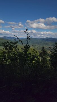  footage featuring a wide 30 fps panoramic shot of a vast green mountain valley under a deep blue sky with scattered white fluffy clouds. Ideal for travel documentaries, nature projects,