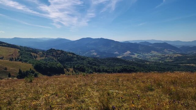 Scenic landscape photograph of a grassy mountain meadow overlooking a deep forested valley and distant ranges under a bright blue sky with white clouds. Concept for outdoor travel, wilderness hiking, 