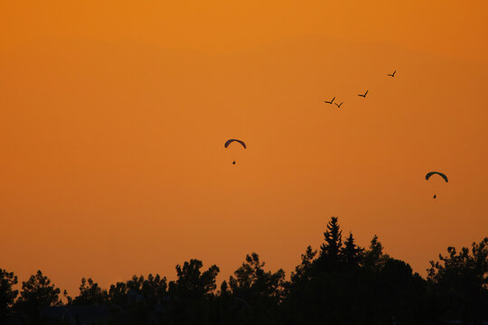 dramatic sunset with birds and parachutes