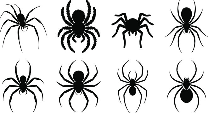 Black Spider Silhouettes Vector Icon