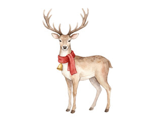 Obraz premium deer isolated on white background