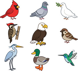 Fototapeta premium Cute birds vector cartoon character set featuring various wild bird species including eagle cardinal dove pigeon duck sparrow heron woodpecker and hummingbird