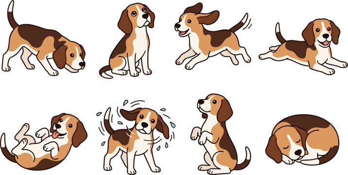 Cute cartoon beagle puppy character set in different playful poses isolated vector illustration for children book design