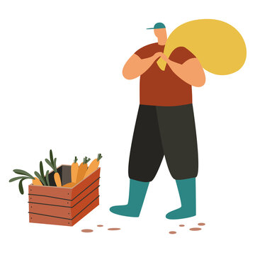 Farmer carrying a large sack beside a wooden crate filled with freshly harvested carrots and vegetables. Flat illustration suitable for farming, harvest, food and agriculture designs.