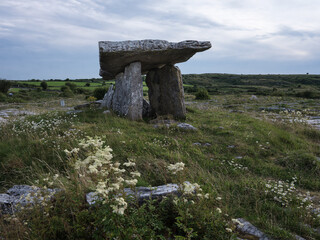 Ancient stone table stands tall in open field in Poulnabrone. White flowers bloom wild around its base. Cloudy sky looms above ancient structure. Green grass sways gently under soft light © ANTONIO