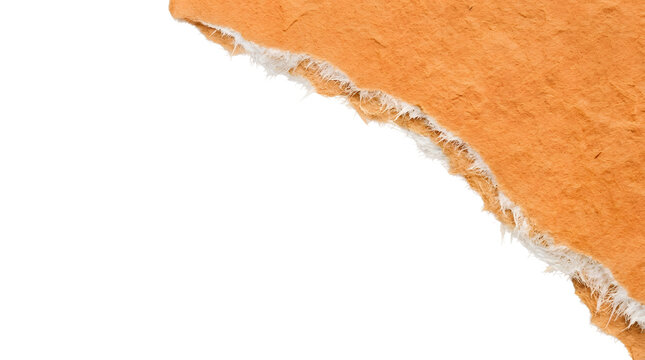Orange torn paper texture creates a dynamic diagonal border over a bright transparent background.