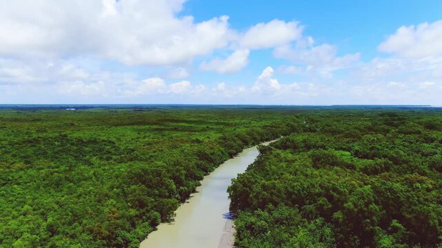 Deep inside sundarbans under cloudy blue sky front movement showing two river under blue white cloudy sky
