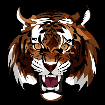 Tigers live in lush forests.