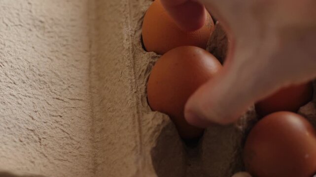 A man's hand carefully takes fresh brown chicken eggs out of a cardboard carton. Close-up video showing the process of preparing natural ingredients for cooking home breakfast