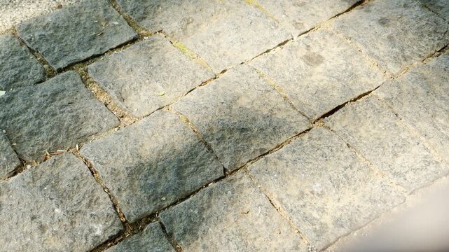 Stone pavers lie quietly on a sunny outdoor walkway. Warm sunlight highlights the rough texture. The rustic path creates a peaceful, nostalgic feeling of calm solitude.