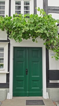 Green Double Door Beneath Grapevine on Half-Timbered House