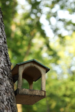 A wooden birdhouse is placed on the side of a tree in a forest. The scene shows green trees and sunlight filtering through the leaves. It is daytime.