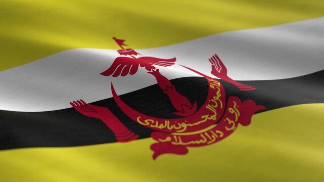 Brunei - waving flag loop