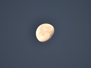 Moon  © Janette
