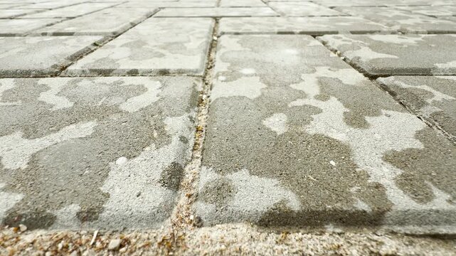 Wet stone pavers dry slowly on a quiet walkway. Raindrops leave dark spots across the surface. The cool ground brings a calm, fresh feeling after the rain.