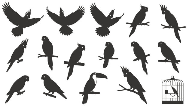 Collection of tropical bird silhouettes including parrots and a toucan perched on branches and flying on a white background.