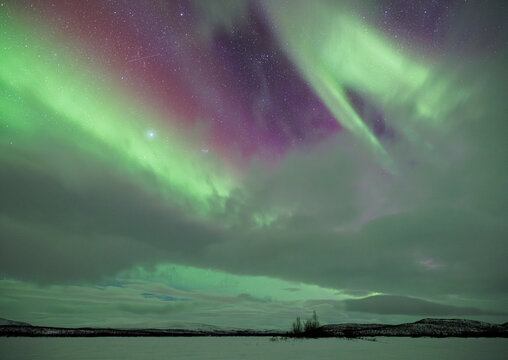 Purple and Green Aurora Across a Northern Horizon