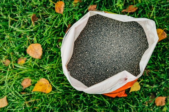 Granular autumn fertilizer inside a white bag resting on a green grass lawn with fallen leaves