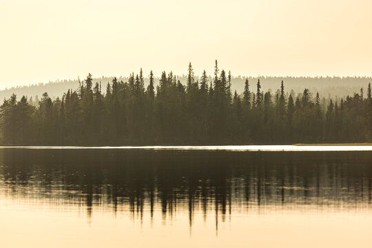 Misty morning on the lake