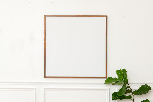 Minimalist frame with green plant.