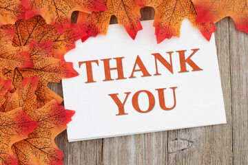 Fall leaves with a Thank You greeting card on weathered wood for your autumn message © Karen Roach