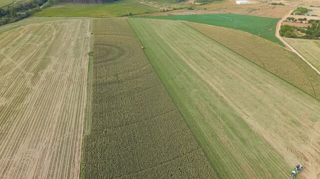 Aerial view of agricultural machinery harvesting a corn field with rural landscape in Villamayor, Castile and Leon, Spain.