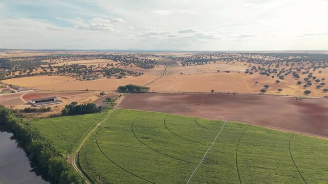 Aerial view of a rural landscape featuring Tormes river, center-pivot irrigation fields, and dehesa oak trees in Villamayor, Castile and Leon, Spain.