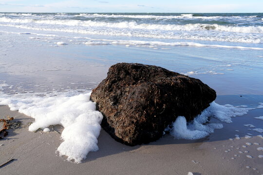 Ostsee, Strand, Torf, Meeresschaum, nat&uuml;rlich, Schaum, PFAS, Ewigkeitschemikalien, Torfmoos, Gro&szlig;es Ribnitzer Moor, K&uuml;stenerosion, Wasser, Sand, Ufer,  Welle, Graal-M&uuml;ritz, Deutschland, Europa